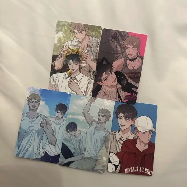 [BUNJANG] Hongsil Quest BL Popup Special Edition Photocard Bundle Set / 홍실퀘스트 bl 팝업 특전 포카 입특 일괄 양도