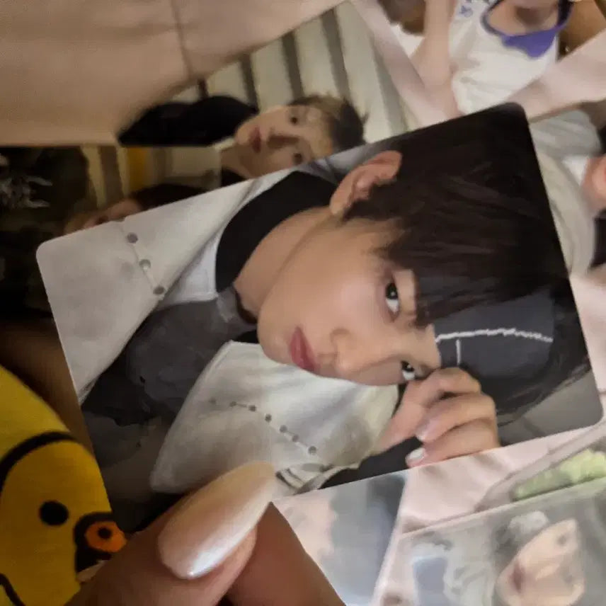 [BUNJANG] CORTIS Geonho Photocard POB / 코르티스 건호 안건호 포카 특전 택포가격