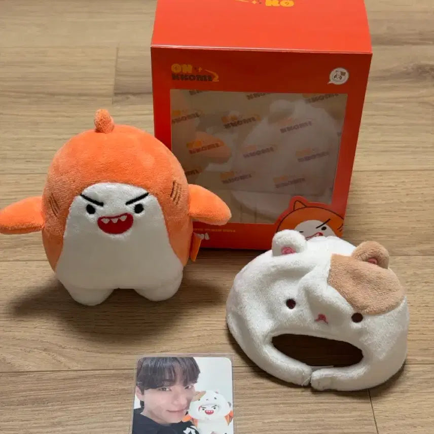 [BUNJANG] ONF ONCOMIZ Teoni Photocard / 온앤오프 이션 온꼬미즈 티오니 (포카 포함)