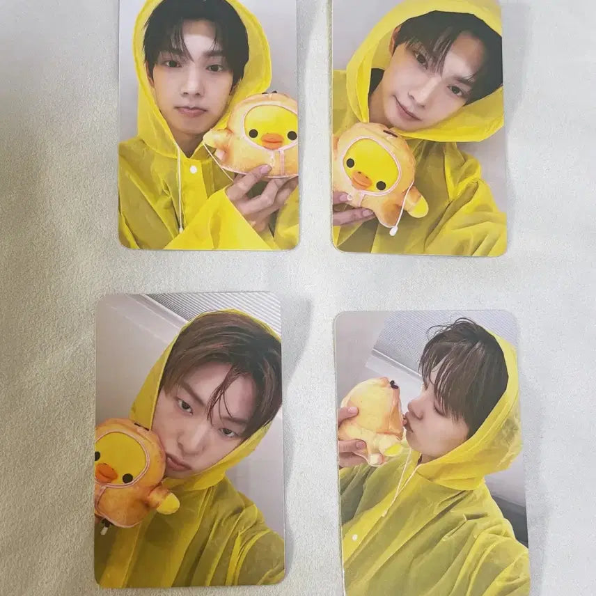 [BUNJANG] Flare U Hello Live POB Photocard Set / 플레어유 헬로라이브 미공포 포카