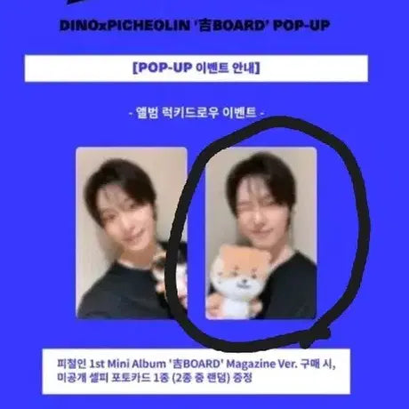 [BUNJANG] SEVENTEEN Dino Face The Sun Lucky Draw Photocard / 디노 피철인 앨범 럭키드로우 포토카드