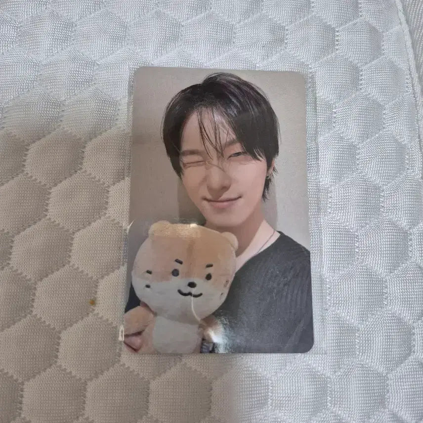 [BUNJANG] SEVENTEEN Dino Face The Sun Lucky Draw Photocard / 디노 피철인 앨범 럭키드로우 포토카드