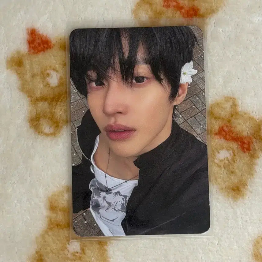 [BUNJANG] RIIZE Wonbin DYD Photobook Photocard A Ver. / 라이즈 원빈 dyd 포토북 앨포 a버전 포카 굿즈 벚꽃