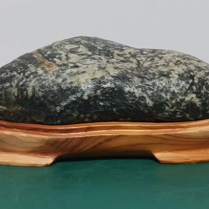 [BUNJANG] Geumgangsan Black Tiger Stripe Stone (Wonsangyeong) / 수석(금강 흑호피/원산경)
