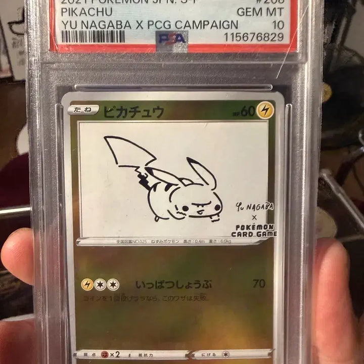 [BUNJANG] Pokemon Card Pikachu &amp; Charizard PSA 10 Collection / 2021 포켓몬 카드 유나가바 피카츄 PSA 10 등등