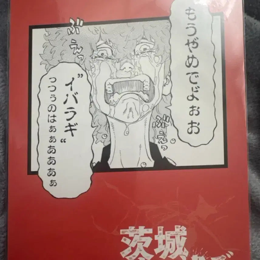 [BUNJANG] Tokyo Revengers Double Punishment Postcard Bundle Set / 도리벤 쌍악 엽서 일괄