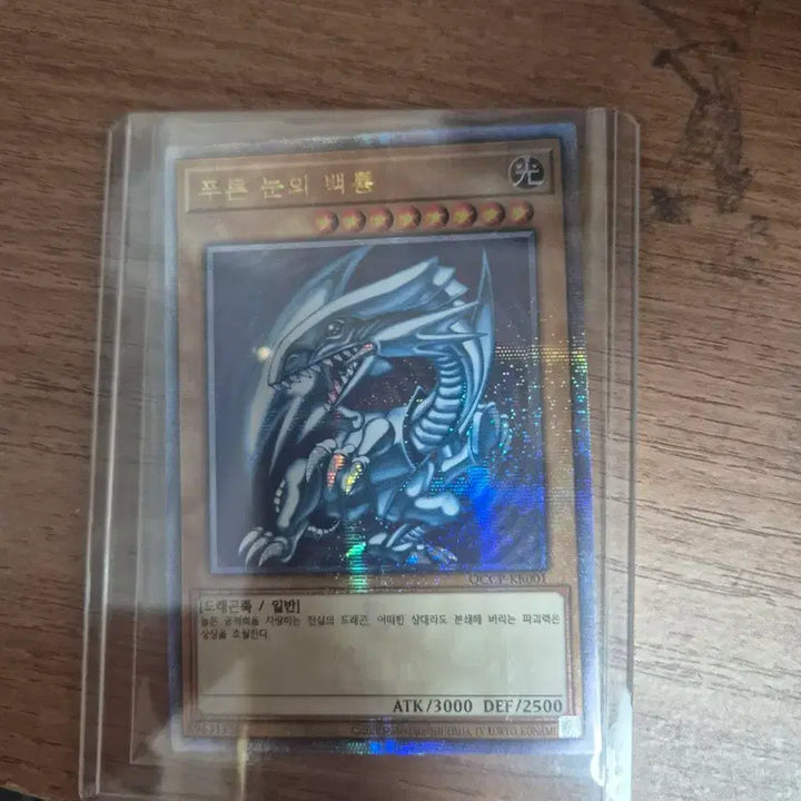 [BUNJANG] Blue-Eyes White Dragon Quarter Century Secret Rare / 푸른 눈의 백룡 쿼터 센츄리 스크릿레어