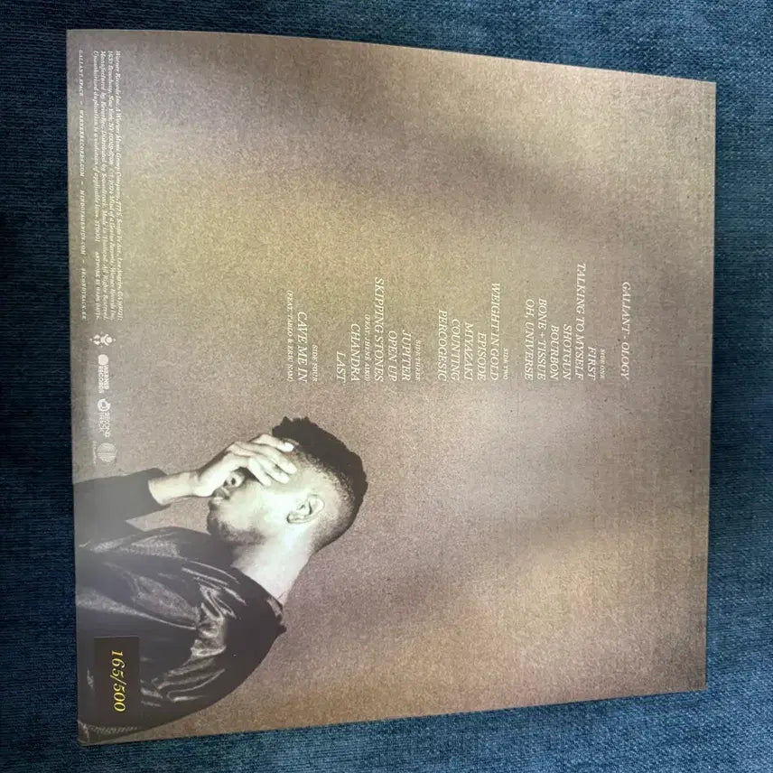 [BUNJANG] Gallant Ology LP / gallant  - ology LP