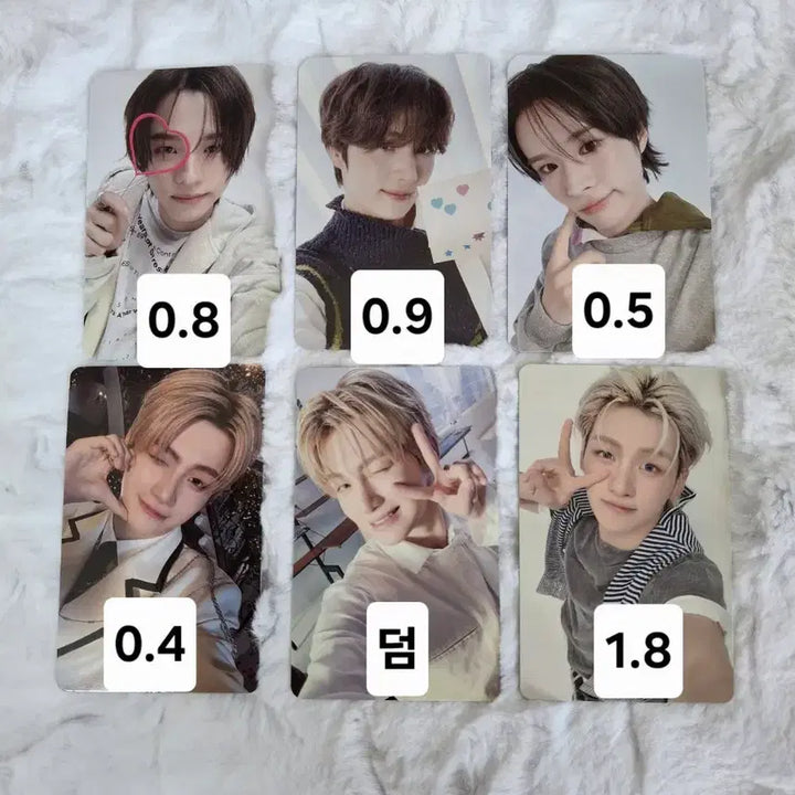 [BUNJANG] TWS Bundle Set Photocards / 투어스 포토카드 일괄판매