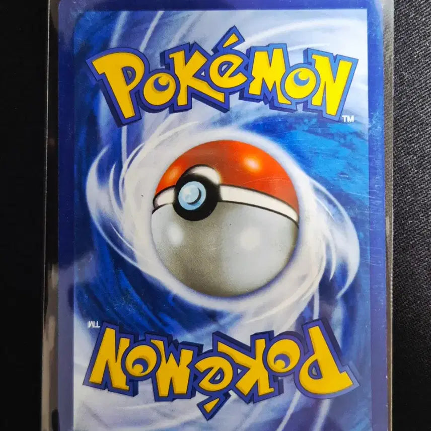 [BUNJANG] XY Series Pokemon Card Fennekin (with Chikorita) / XY시리즈 포켓몬 카드 푸호꼬(with 치코리타)