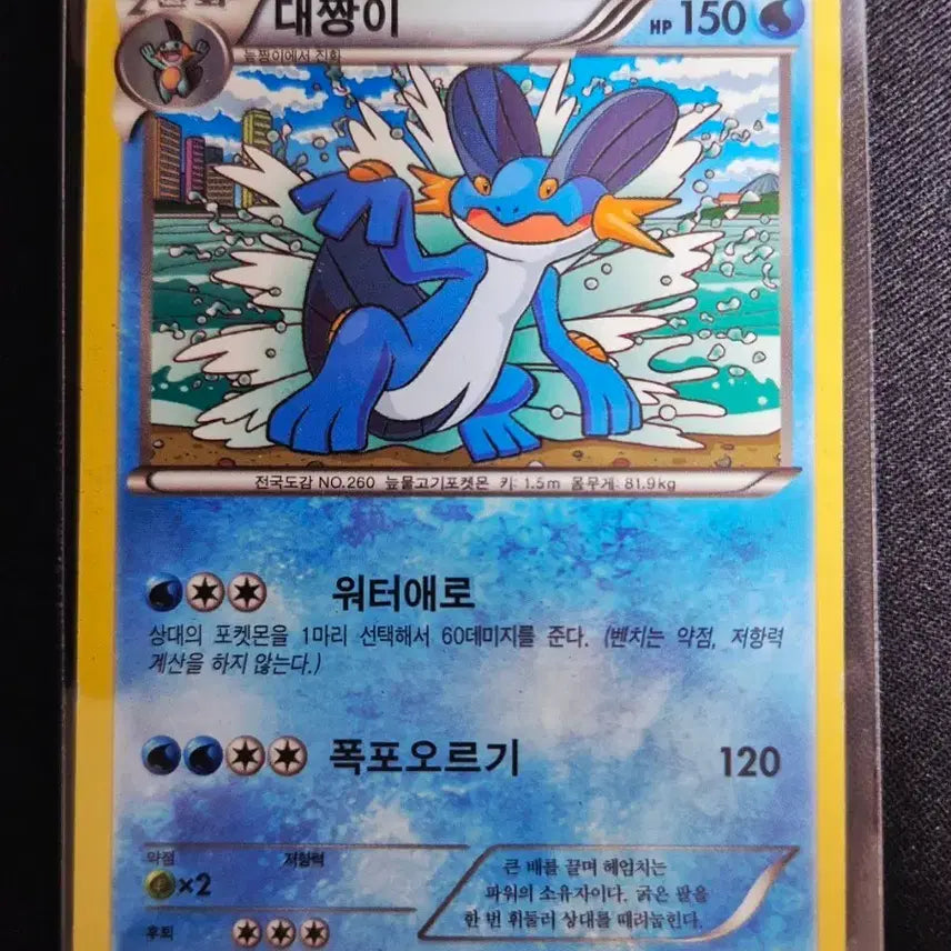[BUNJANG] XY Series Tidal Storm Blastoise Pokemon Card / XY시리즈 타이달 스톰 포켓몬 카드 대짱이