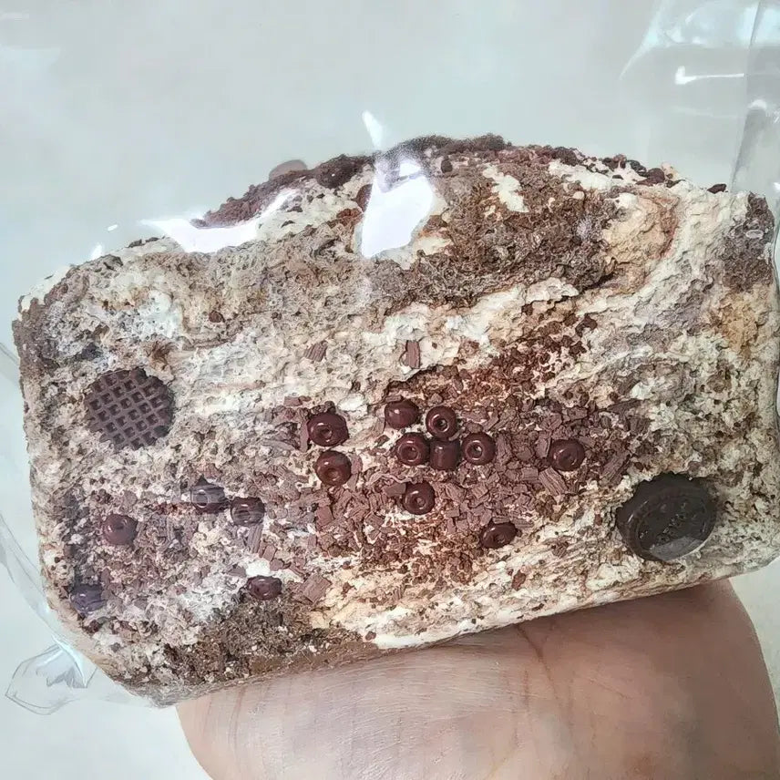 [BUNJANG] 7mo (Hidden) 3-Tier Cookie Toast Squishy / 말랑이 7mo 칠모 (히든) 3단 쿠키토스트