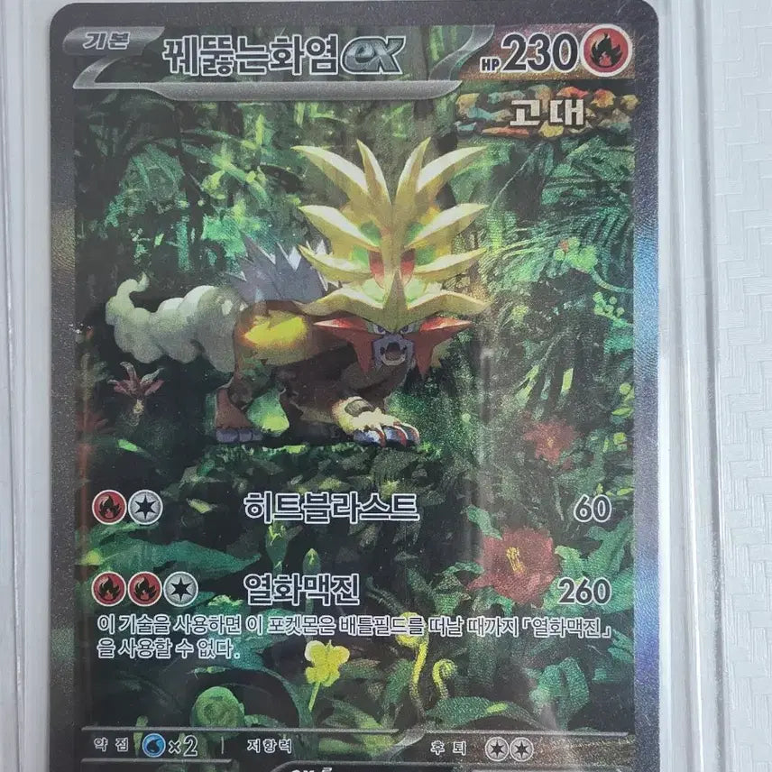 [BUNJANG] Fiery Penetration EX (SAR) / 꿰뚫는화염ex sar