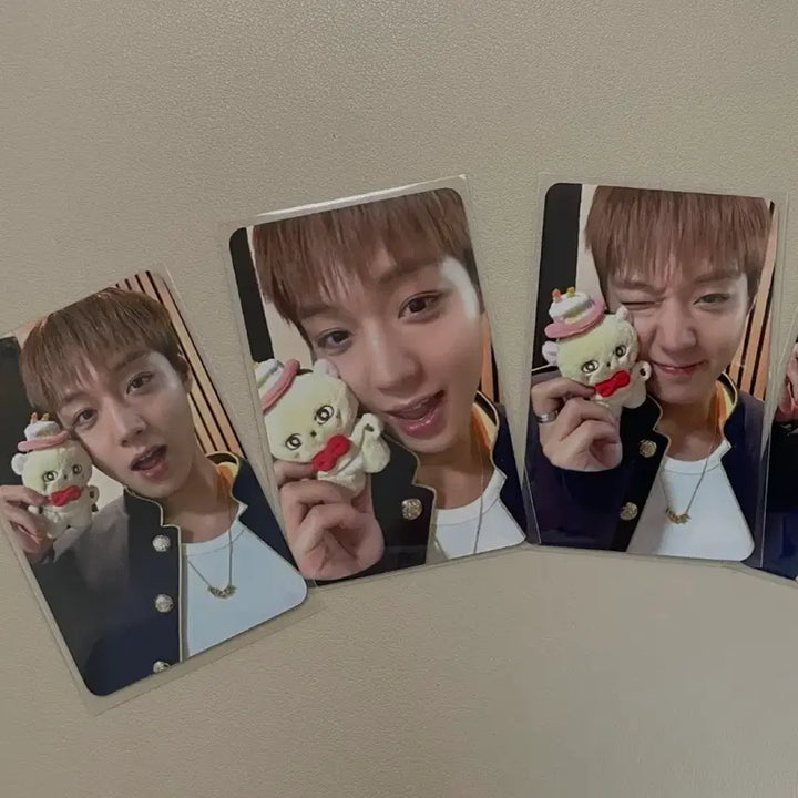[BUNJANG] Park Jihoon Sosimi Pop-up POB Photocard Set (3 Types) / 가격내림)박지훈 소심이 팝업 특전포카 3종 세트 일괄