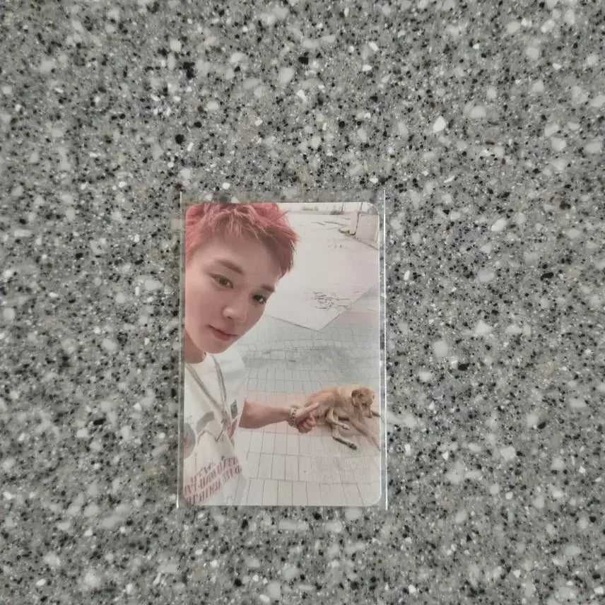 [BUNJANG] Park Ji Hoon Reflect Lucky Draw Photocard / 박지훈 리플렉트 럭드 포카 판매 팝업스토어