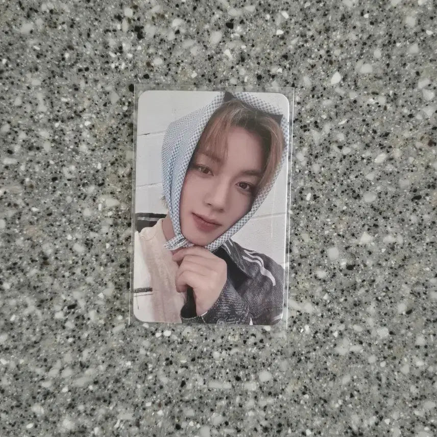[BUNJANG] Park Ji Hoon Mamute POB Photocard / 박지훈 마뮤테 미공포 판매 포카