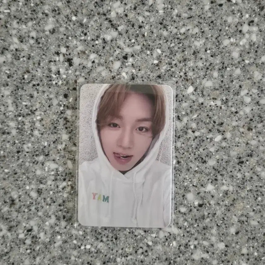 [BUNJANG] Park Jihoon Mamute POB Photocard / 박지훈 마뮤테 미공포 판매 포카