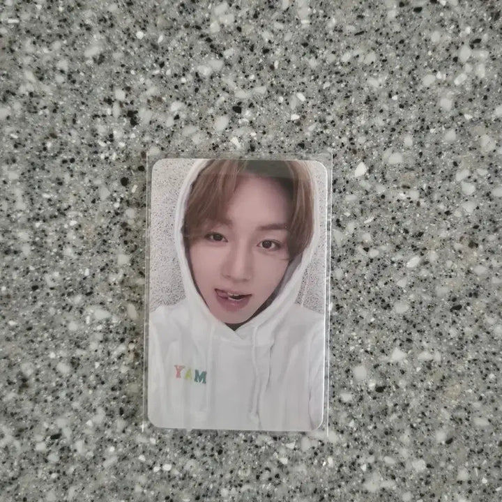 [BUNJANG] Park Jihoon Mamute POB Photocard / 박지훈 마뮤테 미공포 판매 포카