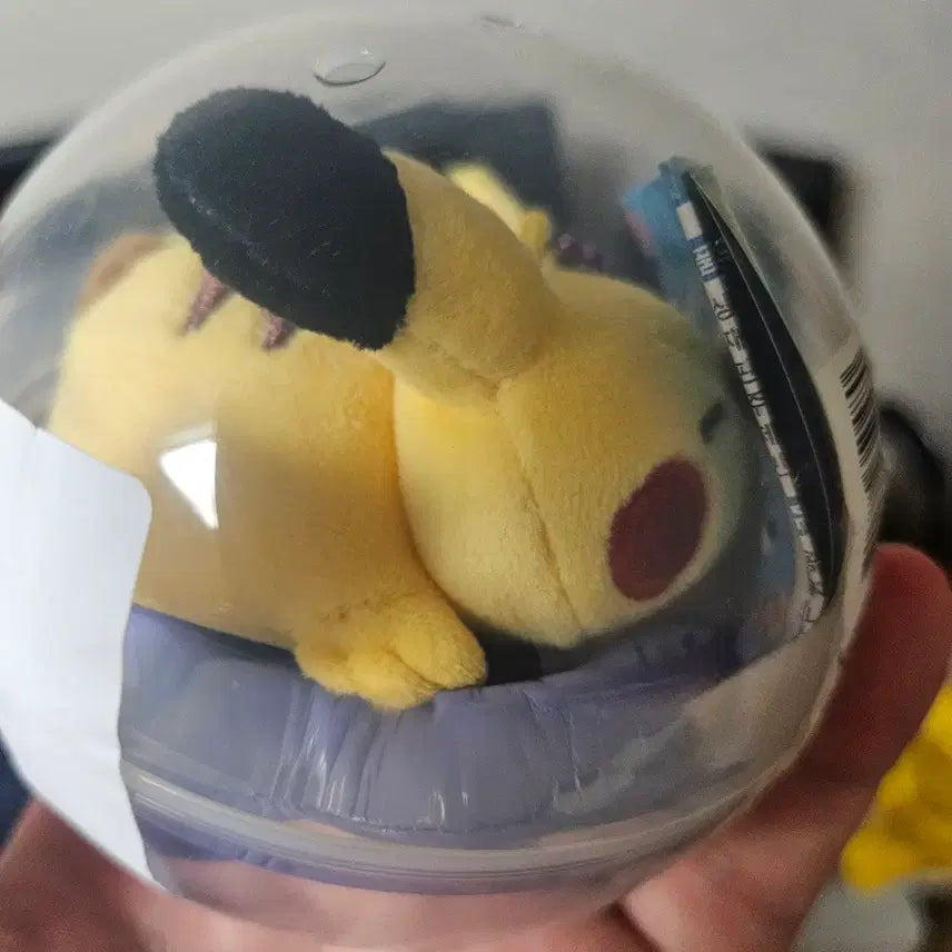[BUNJANG] Pokemon Pikachu Doll Chilling Days Summer Limited Edition / 포켓몬스터 피카츄 인형 칠링데이즈 여름 한정판