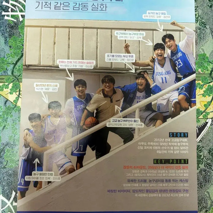 [BUNJANG] Rebound Pamphlet A4 / 리바운드 팜플렛 a4