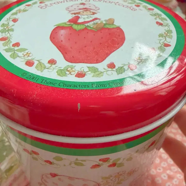 [BUNJANG] Vintage Strawberry Shortcake Tin Case (Small) / 빈티지 스트로베리 쇼트케이크 틴케이스(tea /s사이즈)