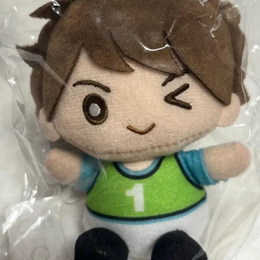 [BUNJANG] Oikawa Practice Wear Plush / 오이카와 연습복 누이 더누이 The누이
