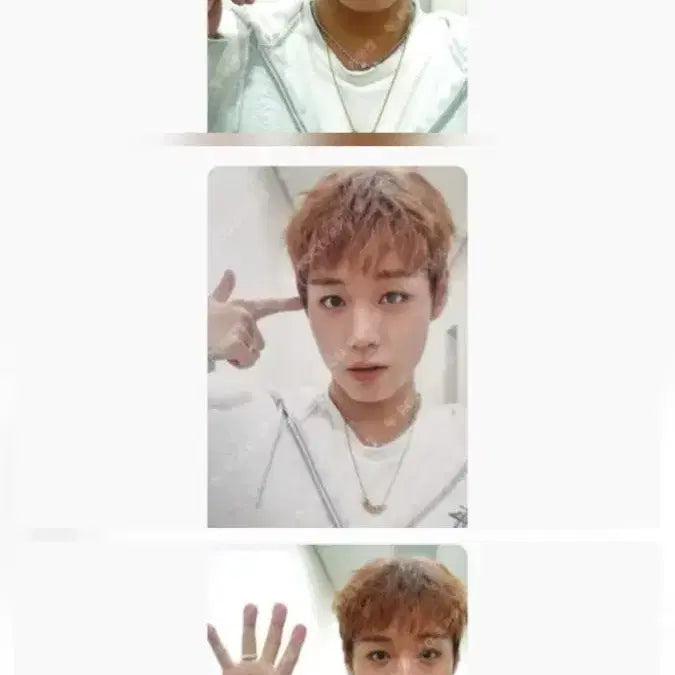 [BUNJANG] Park Jihoon &