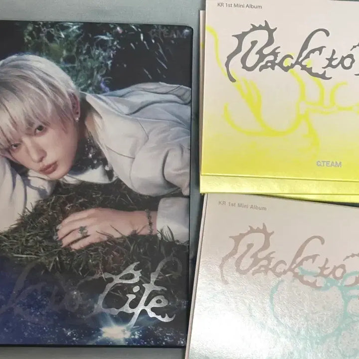 [BUNJANG] ENHYPEN ENTWURF Firework Album Unsealed / 앤팀 개봉 엘범 판매 파이어워크