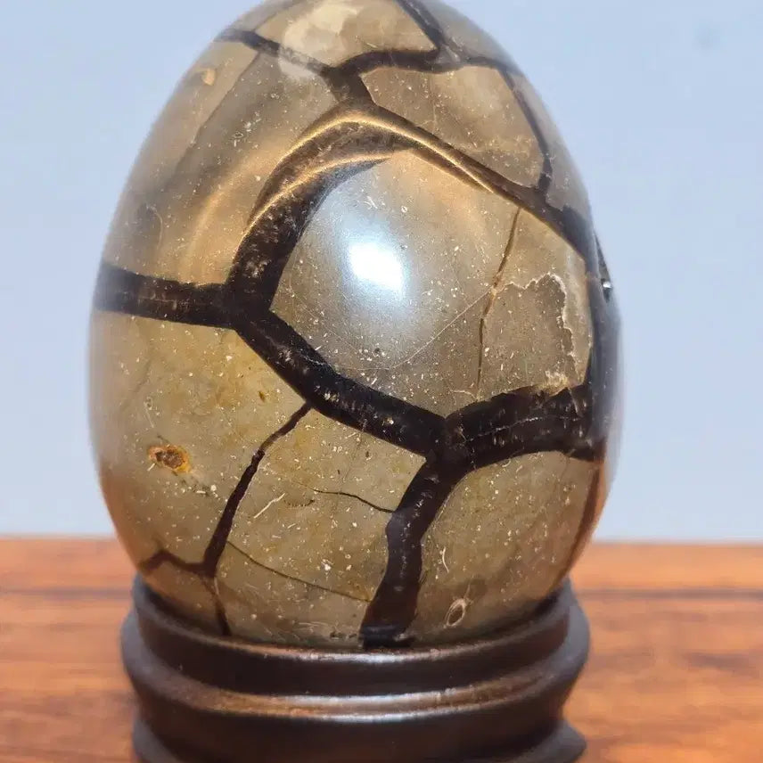 [BUNJANG] Black Scepteria Turtle Shell Stone Mineral Specimen / 26081231 좋은 기운을 주고 변화가 좋은 블랙셉터리아 귀갑석 광물 수석 팝니다