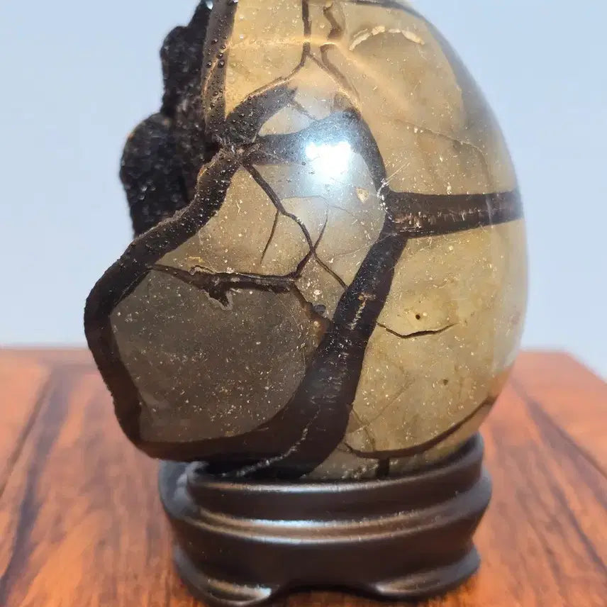 [BUNJANG] Black Scepteria Turtle Shell Stone Mineral Specimen / 26081231 좋은 기운을 주고 변화가 좋은 블랙셉터리아 귀갑석 광물 수석 팝니다