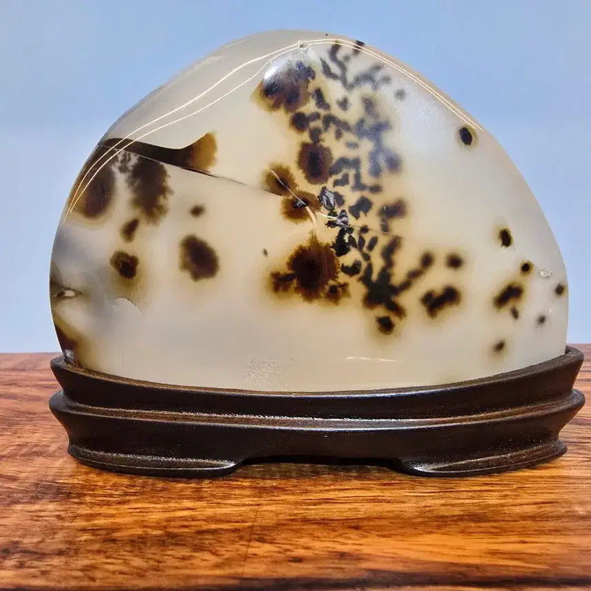 [BUNJANG] Agate Stone Mineral "Plum Blossom" / 26081232 좋은 기운을 주고 매화꽃 문양이 환상적인 마노석 광물 수석 팝니다