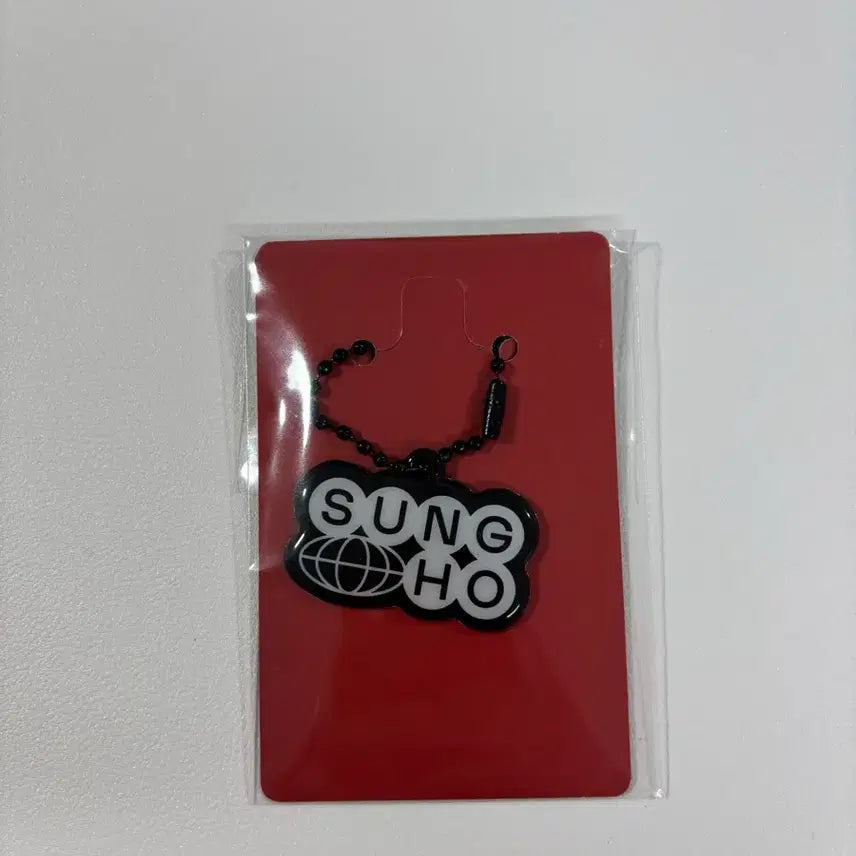 [BUNJANG] The Xion Seongho Keychain / 디엑션 성호키링