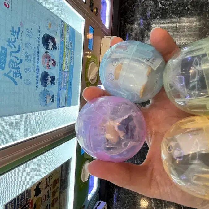 [BUNJANG] Gintama Machiboke Gashapon Set (Sealed) / 은혼 가챠 마치보케 삼젯 [미개봉세트]