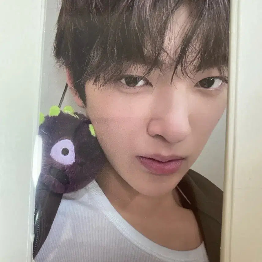[BUNJANG] Kortiz Acai Bowl Gunho Photocard / 코르티스 아사이볼 건호