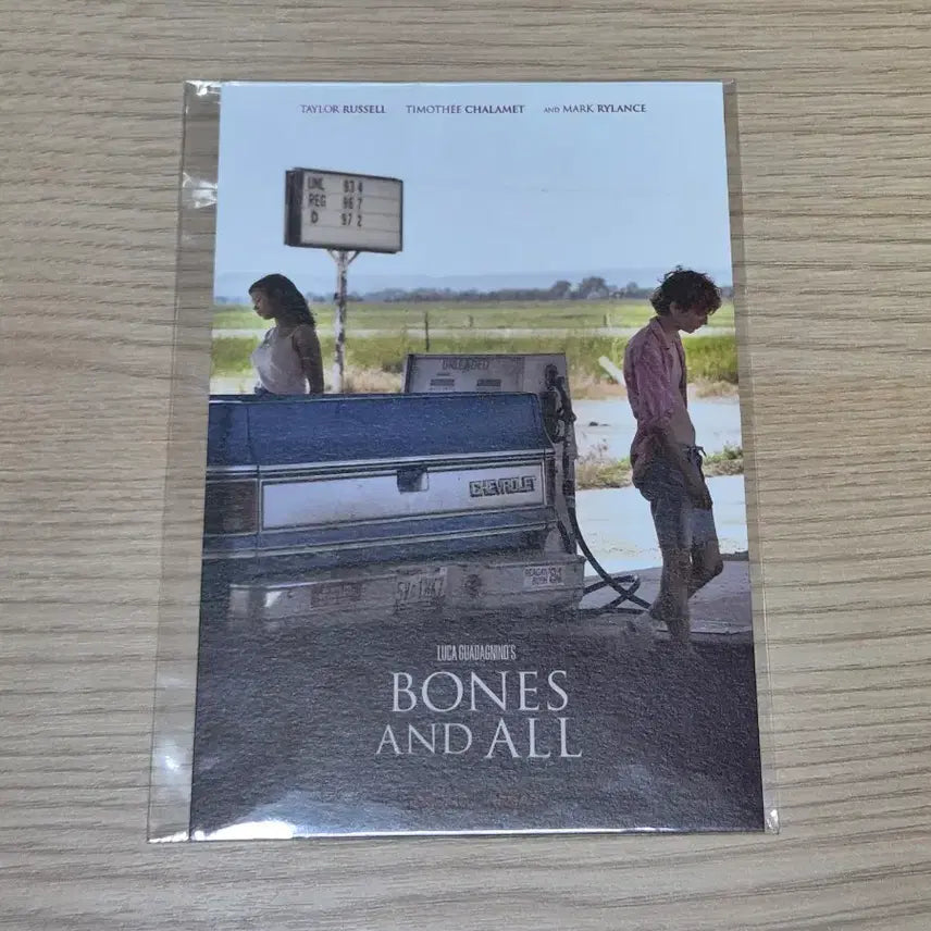 [BUNJANG] Bones &amp; All Photocard / 본즈 앤 올 포토카드