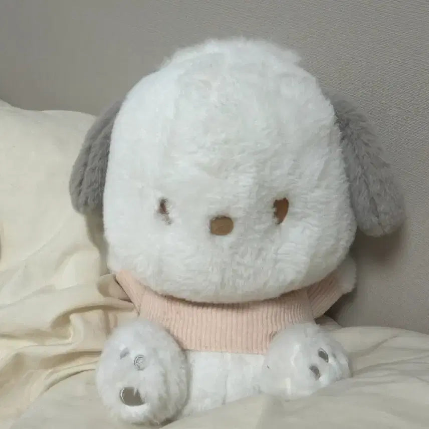 [BUNJANG] Imported Pochacco Plush Doll / 일본 직수입 포차코인형