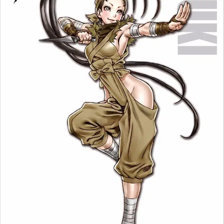 [BUNJANG] Kotobukiya Street Fighter Ibuki Bishoujo Series Figure / 스트리트파이터 이부키 코토바키야 미소녀 시리즈