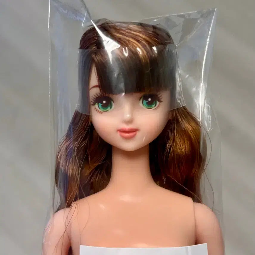 [BUNJANG] Licca Castle Tamaki Doll / 리카캐슬 타마키
