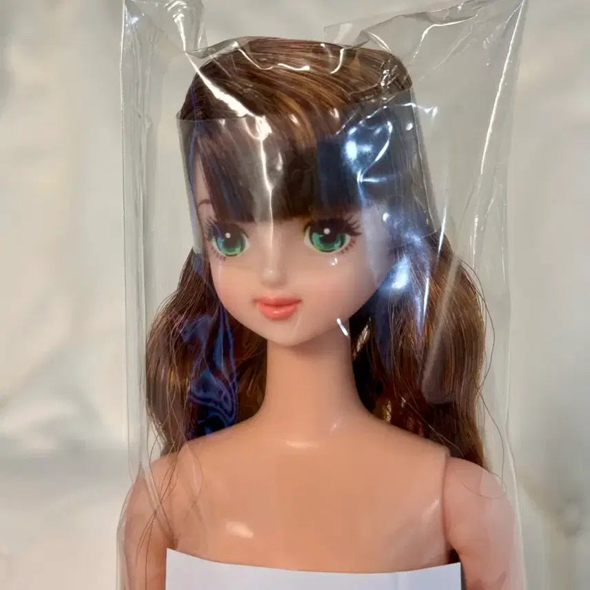 [BUNJANG] Licca Castle Tamaki Doll / 리카캐슬 타마키