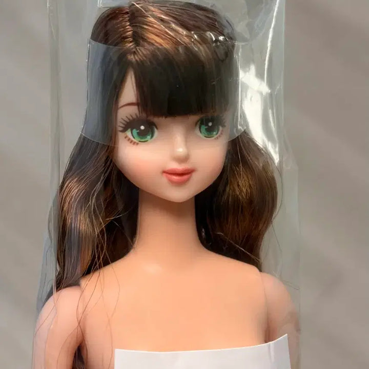 [BUNJANG] Licca Castle Tamaki Doll / 리카캐슬 타마키