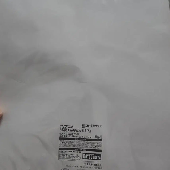 [BUNJANG] Fukuhara Tamon Big Acrylic Stand (Lottery S Prize) / 타몬군지금어느쪽 후쿠하라타몬 타몬 빅아크릴 쿠지 S상