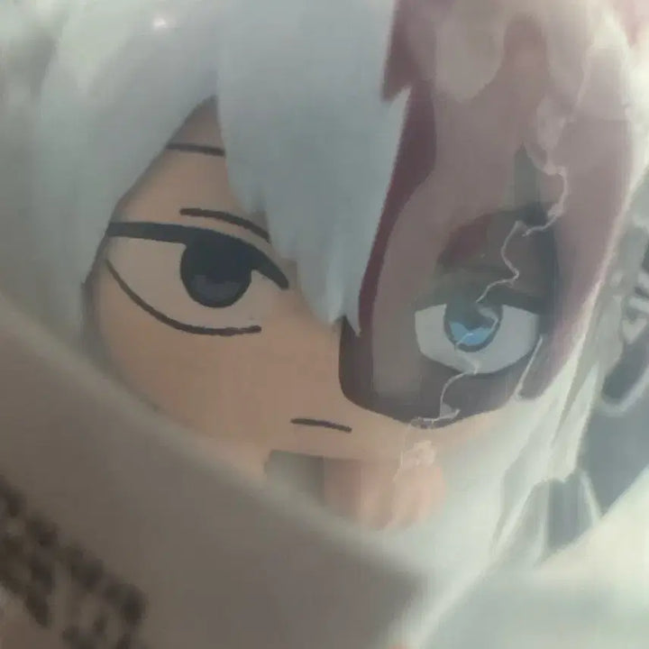 [BUNJANG] My Hero Academia Shoto Todoroki Sealed Gacha Pod (Toy) / (미개봉) 히로아카 포대기 가챠 쇼토