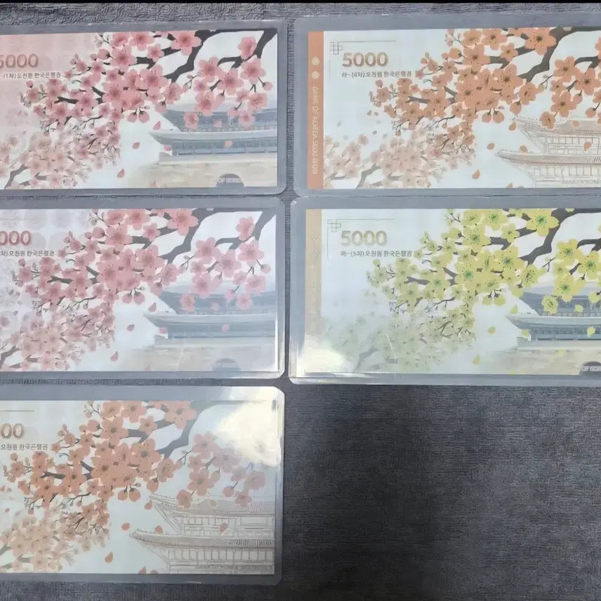 [BUNJANG] Korean 5,000 Won Banknote Collection Set (5 Types) / 오천원권 지폐첩 5종 세트