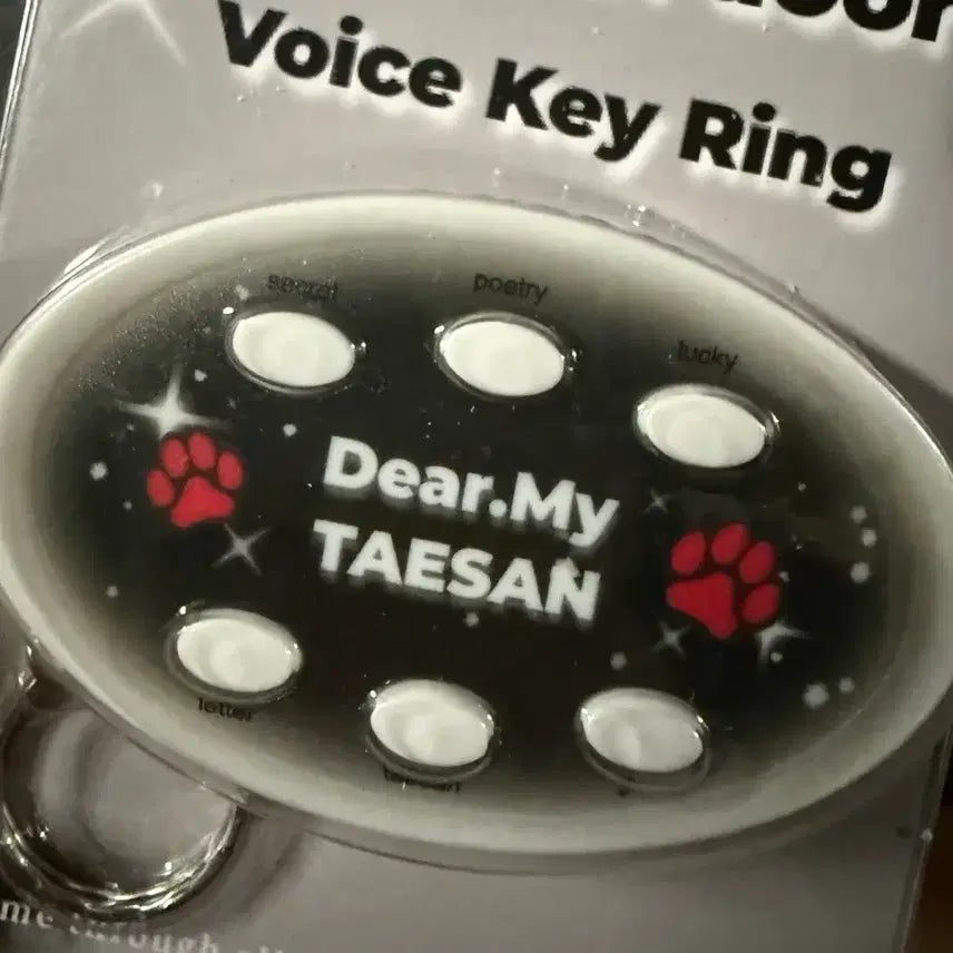 [BUNJANG] BOYNEXTDOOR Taesan Voice Keyring / 보넥도 태산 보이스키링