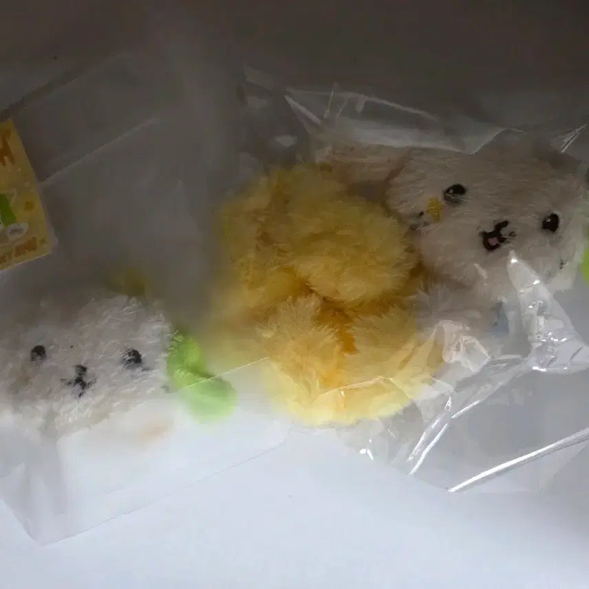 [BUNJANG] NCT WISH Ryonryon Scrunchie &amp; Face Keychain Bundle Set / NCT WISH 룐룐 스크런치, 얼굴키링 일괄