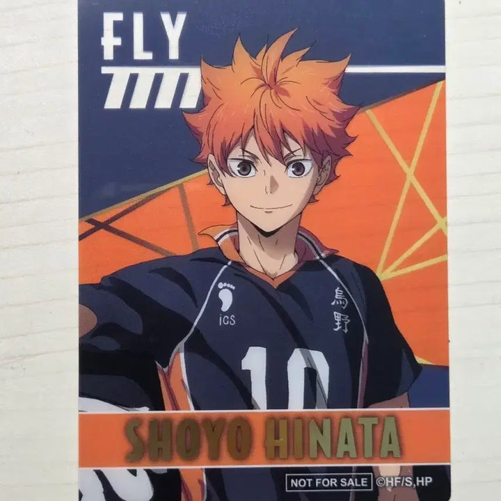 [BUNJANG] Haikyu!! Hinata Shoyo Clear Card / 하이큐 클리어 카드 히나타 쇼요