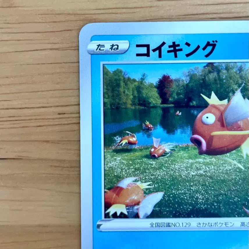 [BUNJANG] Pokemon TCG Pokemon GO Magikarp 021/071 / 일판 포켓몬카드 포켓몬고 잉어킹 021/071