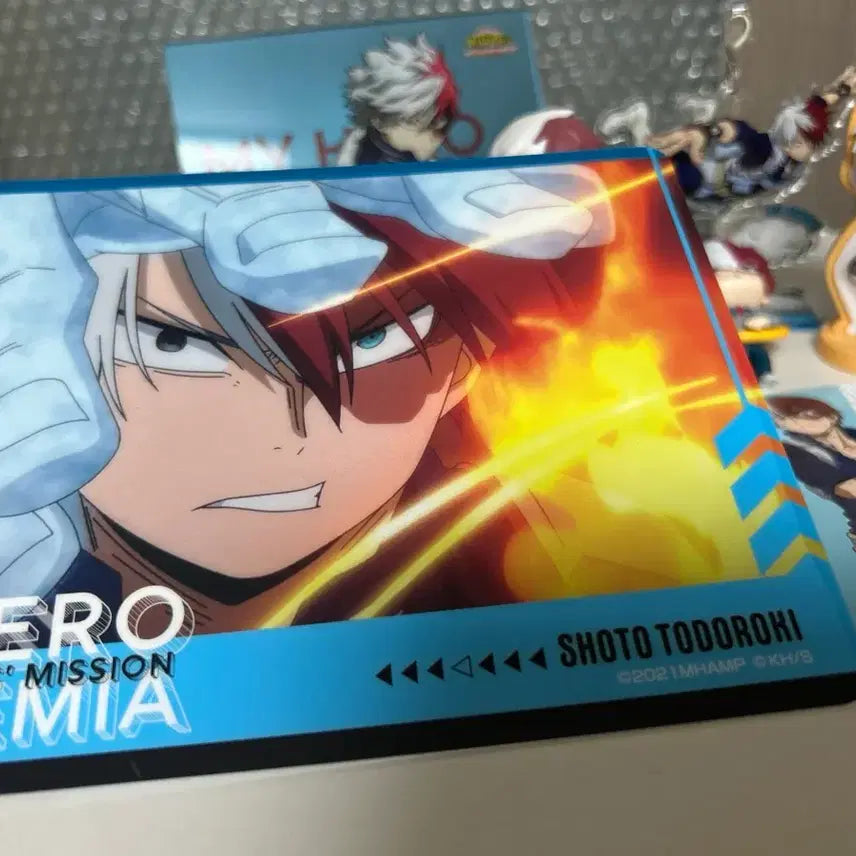 [BUNJANG] My Hero Academia Todoroki Shoto Bundle Set / 일괄) 나히아 나의 히어로 아카데미아 토도로키 쇼토
