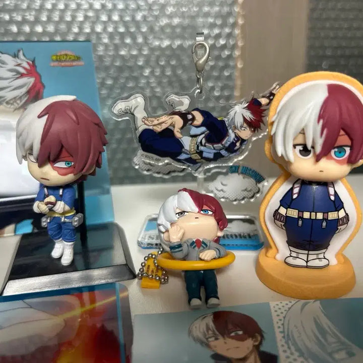 [BUNJANG] My Hero Academia Todoroki Shoto Bundle Set / 일괄) 나히아 나의 히어로 아카데미아 토도로키 쇼토