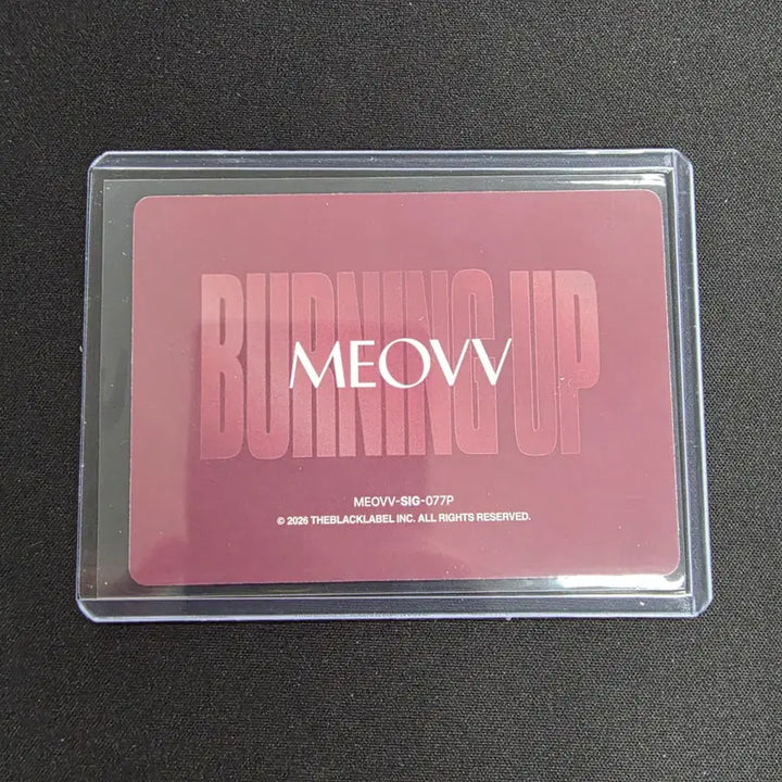 [BUNJANG] Teraka Miyao Ella Autograph Card Limited Edition 15 / 2026 테레카 미야오 엘라 인쇄 사인 카드 15한정